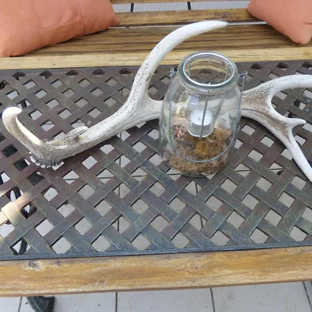 Сasa de vacaciones Relaxen Im Alten Winzerhaus Rech